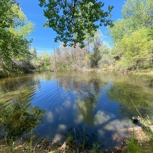 Meet your Posher, Kylie